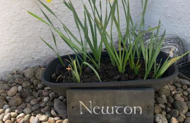 Newton Bothy - Foto 14