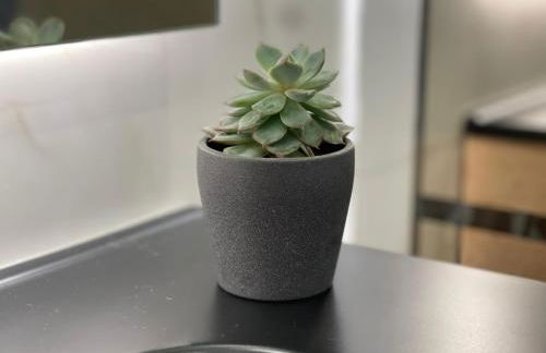 Neto Pinto - Casa de férias / fins de semana. - Photo 38