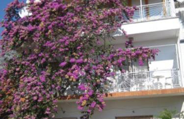 Apartman Graciela Perfect location Gradac - Foto 1