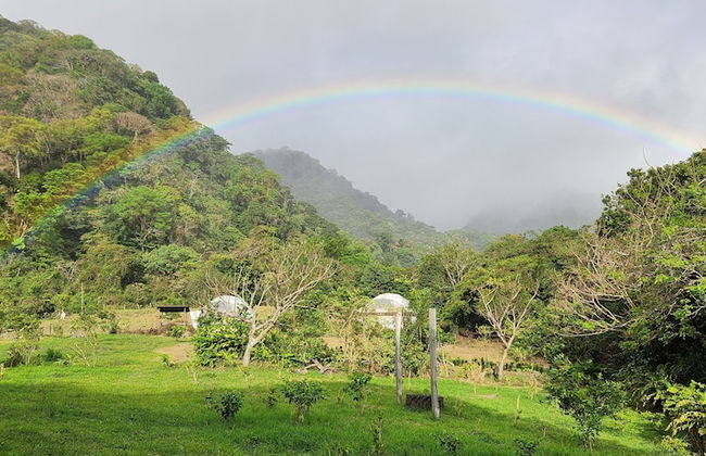 Glampling Nubes de Monteverde - Foto 75