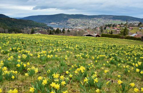 Charmant logis Gérardmer - Photo 14
