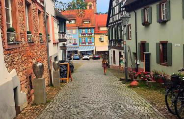 Blackforest Home Gengenbach nahe Europapark Rust - Foto 31