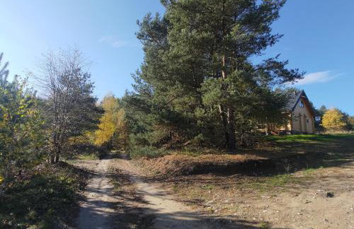 Mazurska bania u Pana Szeptuna - drewniany dom na skraju lasu - Foto 20