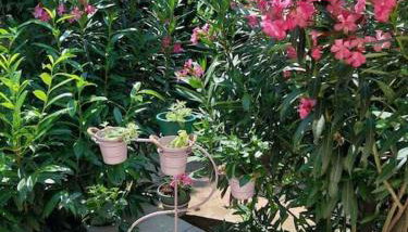 Whole house Ariela, 20m to the beach, has a barbecue, 2 terraces - Foto 4