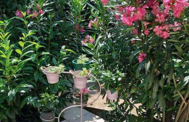 Whole house Ariela, 20m to the beach, has a barbecue, 2 terraces - Foto 4