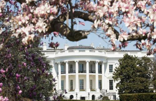 Cozy, Charming Cape Home near DC - Photo 11