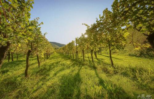 Casa Giulio - Foto 16