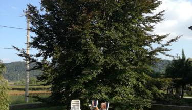 Agriturismo Memento - Foto 5, Garden