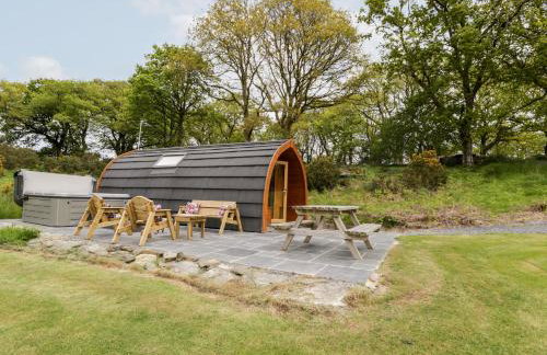 Llugwy Pod - Foto 20