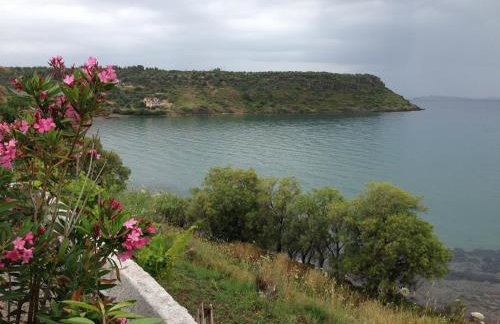 George Paradise - Foto 23