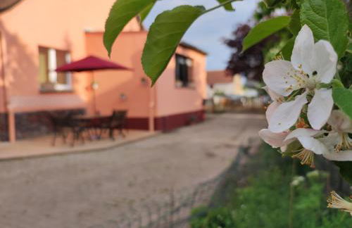 Storchennest mit eigenem Hof, Spielwiese und Terrasse - Foto 9