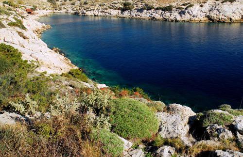 Amazing Garden House - Photo 51