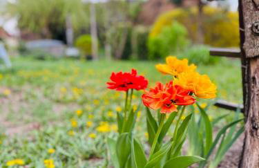 Kolonia u Jasia Rajgród - Foto 50