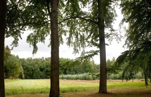 Quiet Comfort in Oelsnitz - Foto 22