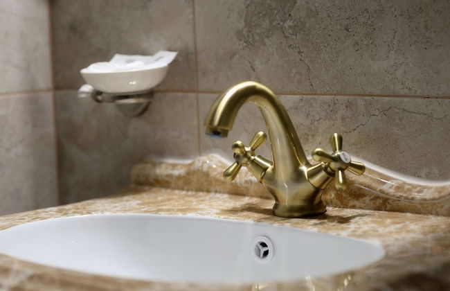 Pensiunea Elemar - Foto 17