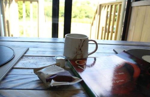 Pembrokeshire Shepherd hut with hottub - Foto 6