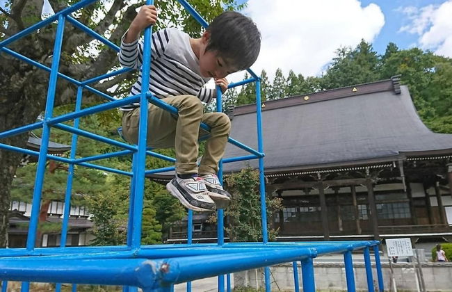 Green House - Foto 16