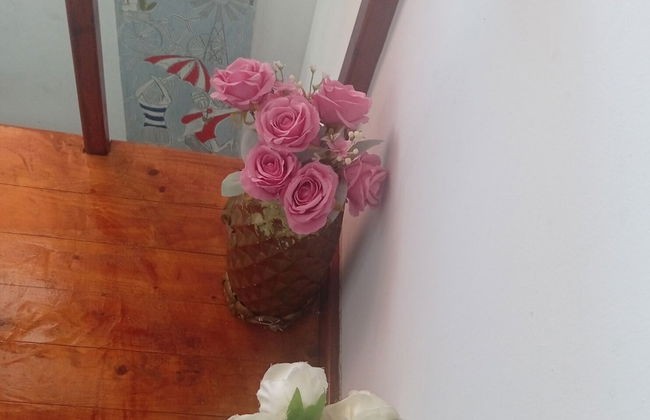 Room in Guest Room - Zagorski bed and Breakfast its Homestay .home Away From Home - Photo 19