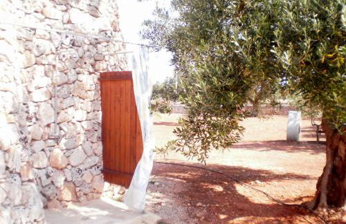 Tenuta Cazzato - Foto 29