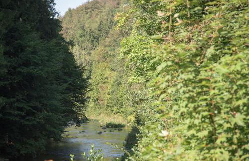 Comfortable Holiday Home in Saxony With Terrace - Foto 54