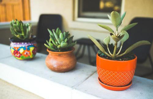 Casita Linda one minute walk to the U of A - Foto 12