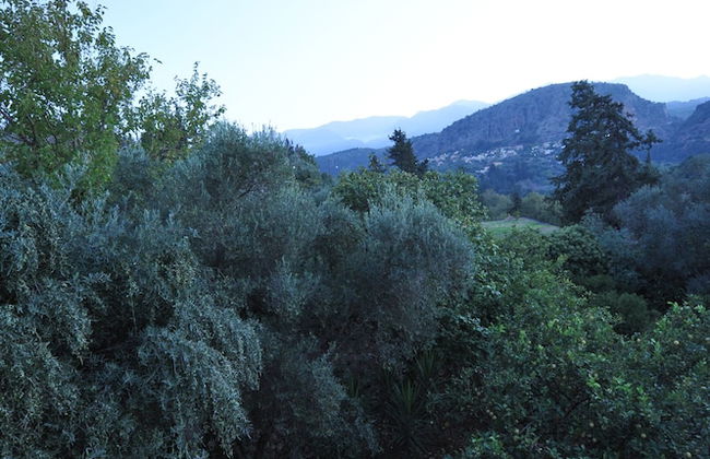 The architect's house - Foto 41