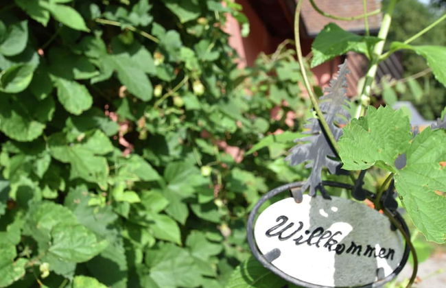 Family-friendly Apartment - Foto 28