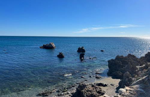 Appartement dans les jardins tropicaux - Photo 25