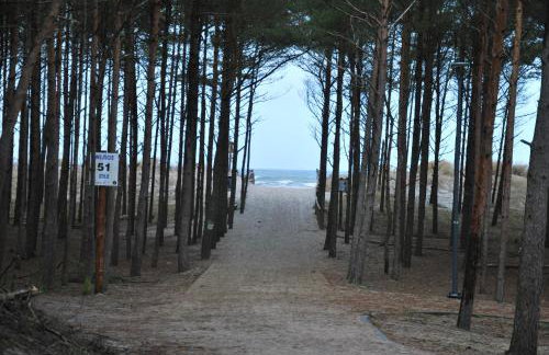 Forest House Sasino-SPA Sauna Balia - Foto 74