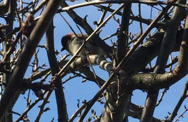 Ferienwohnung Mintbraun - Foto 54