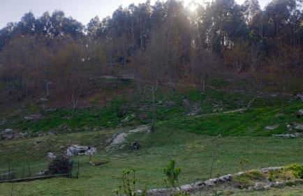 O Aconchego das Raízes - Foto 25