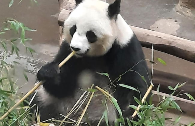 Le Domaine de Louise - Foto 13