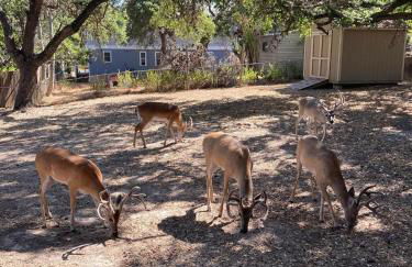 Hidden Haven - Foto 9