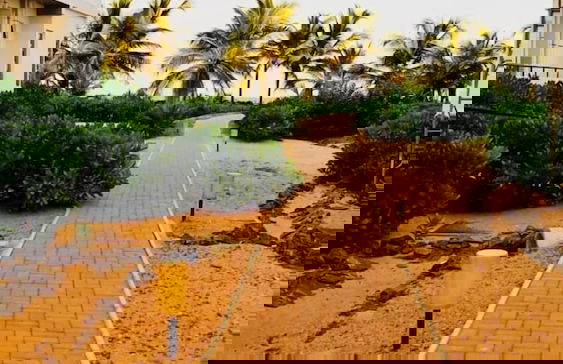 Beach Paradise by Oceanfront Condos - Foto 25