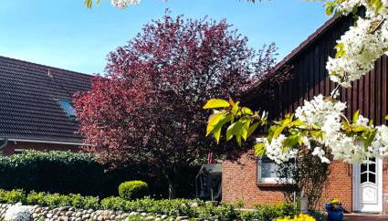 OstseeLiebe Garten, Terrasse und Strandnähe - Foto 3