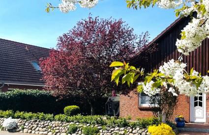 OstseeLiebe Garten, Terrasse und Strandnähe - Foto 3