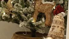 Entre 2 Châteaux - Foto 4