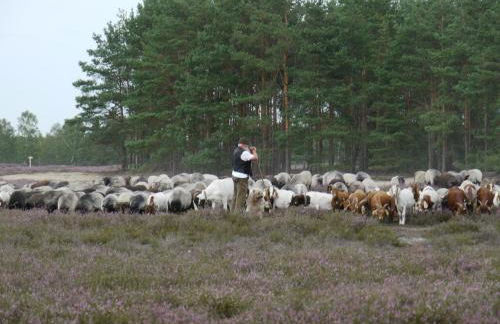 Historisches Haus Uhlenhorst - Foto 30