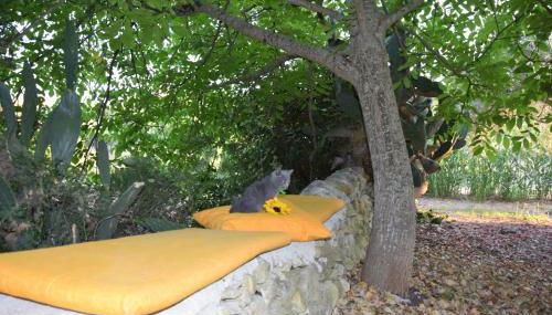 Casa il Carrubbo - Foto 2, Garden