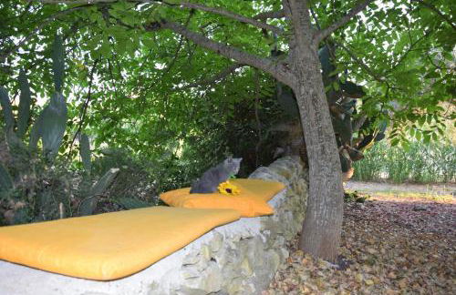 Casa il Carrubbo - Foto 2