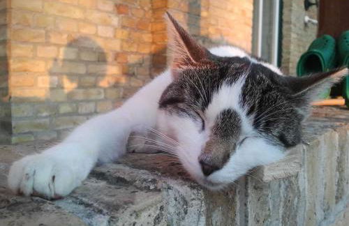 Ferienwohnung Innenhof - Foto 22