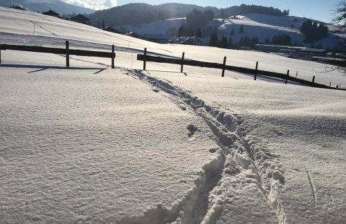 Ferienwohnungen Britta Heim - Photo 69