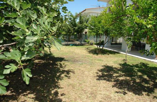 Antheia's House - Foto 22