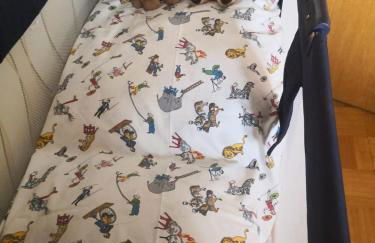 Ferienwohnung Janke - Foto 10