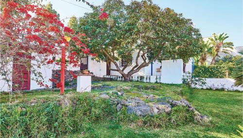 Casa Los Pinos - Foto 5, Garden