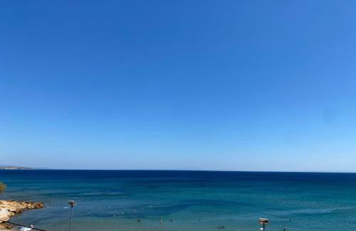 Terry Studio - Foto 66