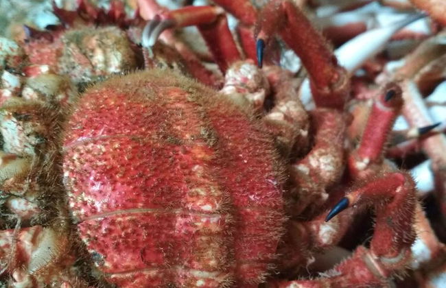 Casa de Verdes - In Cabana de Bergantinos - Photo 41