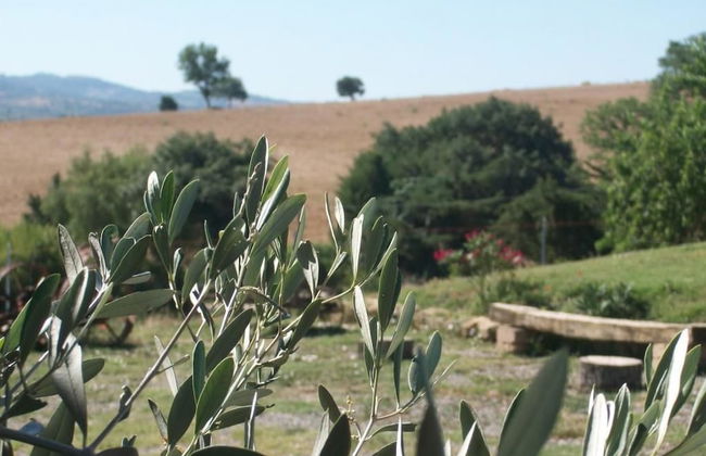 Agriturismo I Casamenti - Photo 37