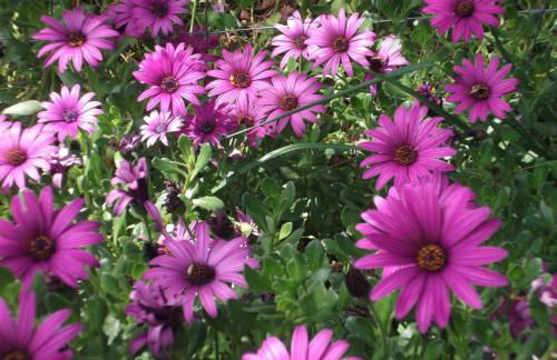 Casa do Tear - Foto 21