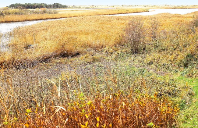 4 Star Holiday Home in Laholm-by Traum - Foto 24